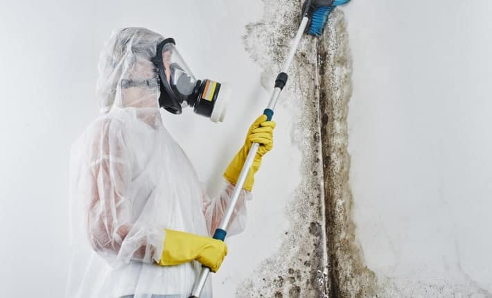 Mould Removal-min